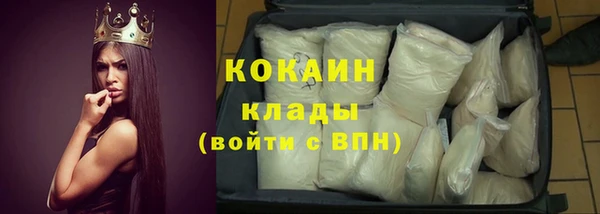гидра Новодвинск