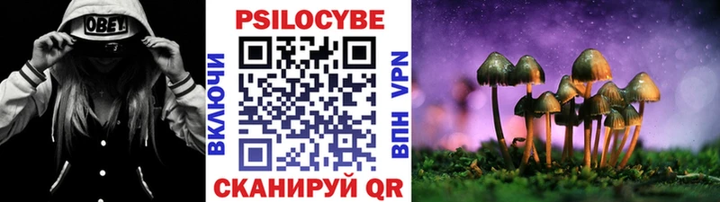 Галлюциногенные грибы Psilocybe  Кизляр 