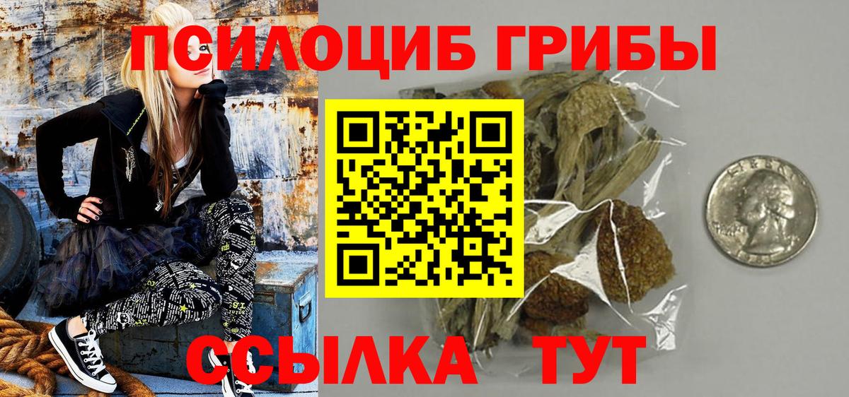 где продают наркотики  Псилоцибиновые грибы GOLDEN TEACHER  Вход с VPN  Кизляр 