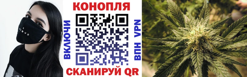 маркетплейс как зайти  Кизляр  МАРИХУАНА тримм 
